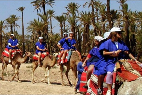 Camel-Fun-Ride-Marrakech